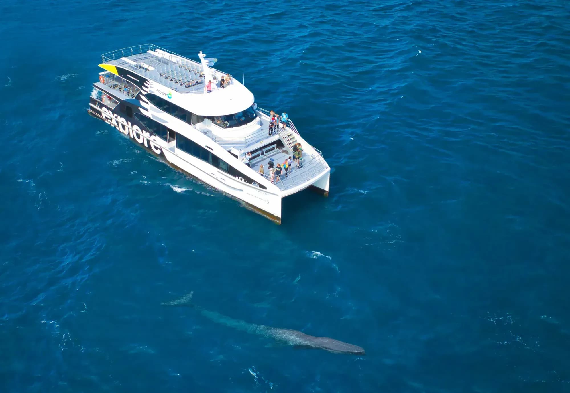 explore cruise